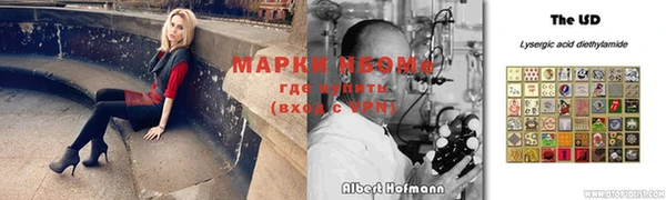 эйфоретик Алзамай