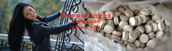 гидра Алексин