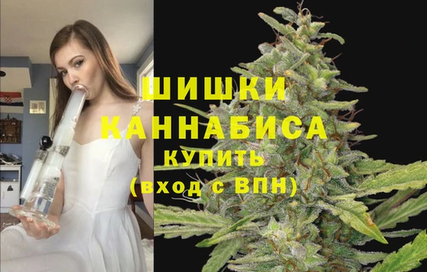 гидра Алексин