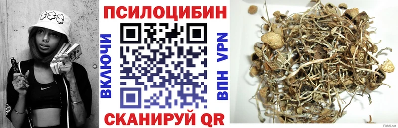 купить   Ясный  Галлюциногенные грибы мухоморы 